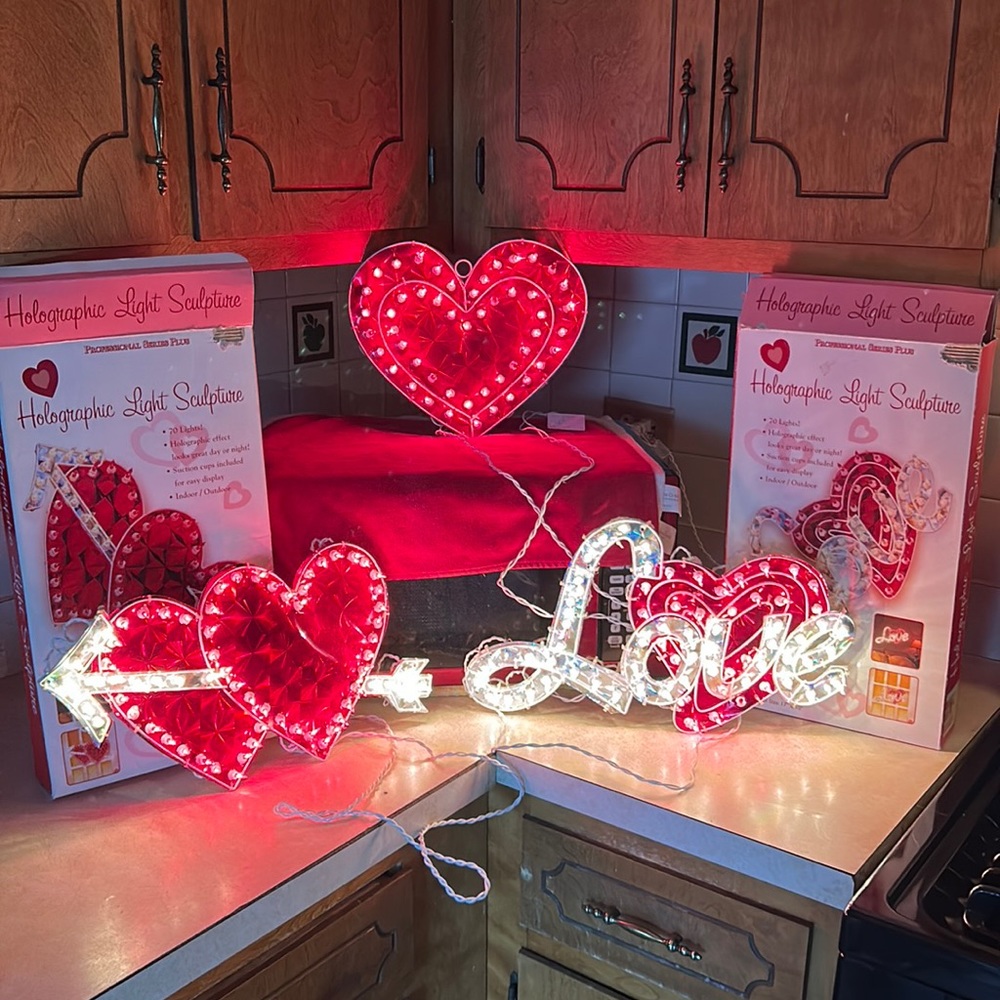 Vintage Holographic Valentine’s Day Shillouettes ❤️